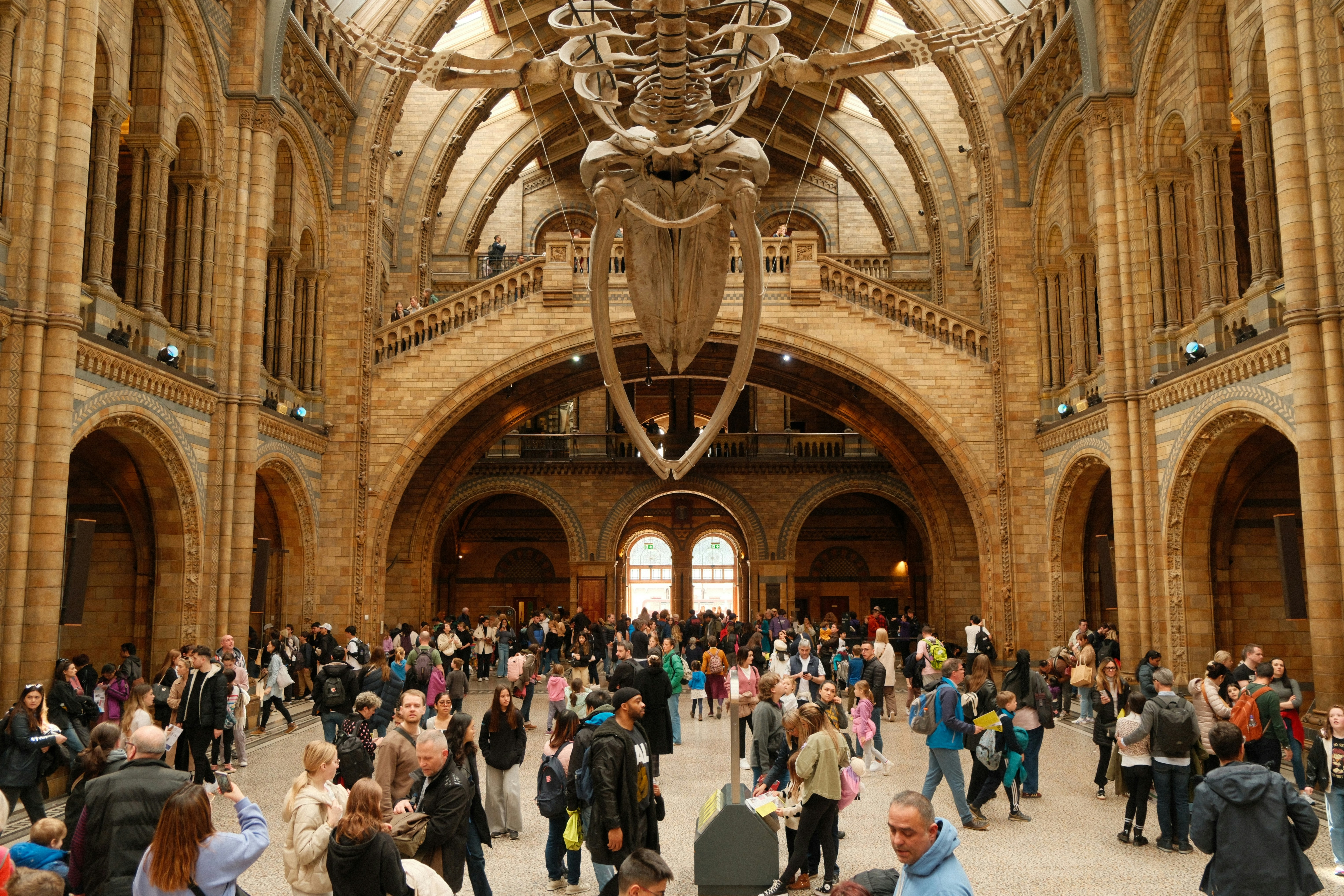 museo di storia naturale a Londra