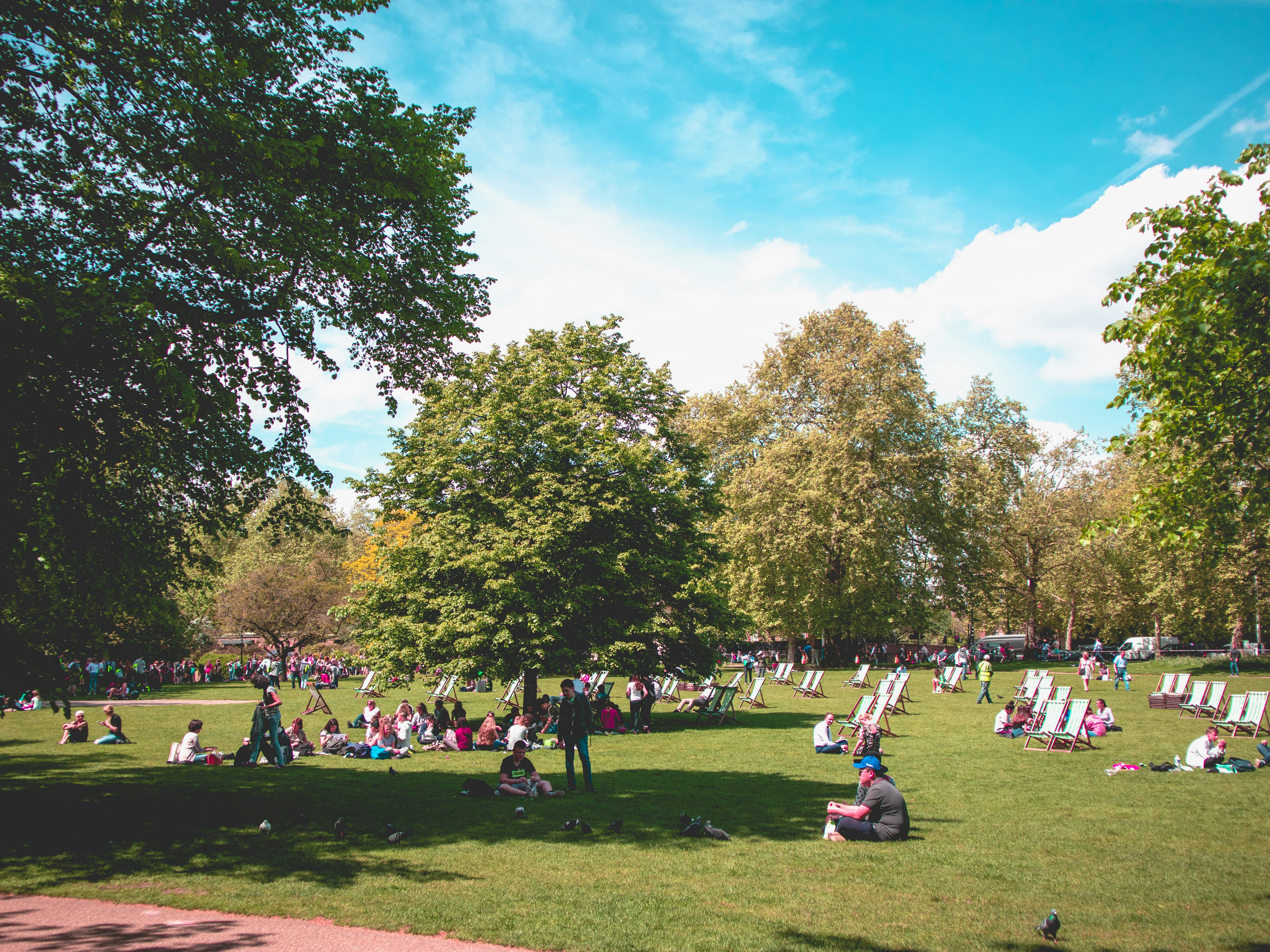 Picnic a Londra: I Posti Più Belli per Mangiare all’Aperto