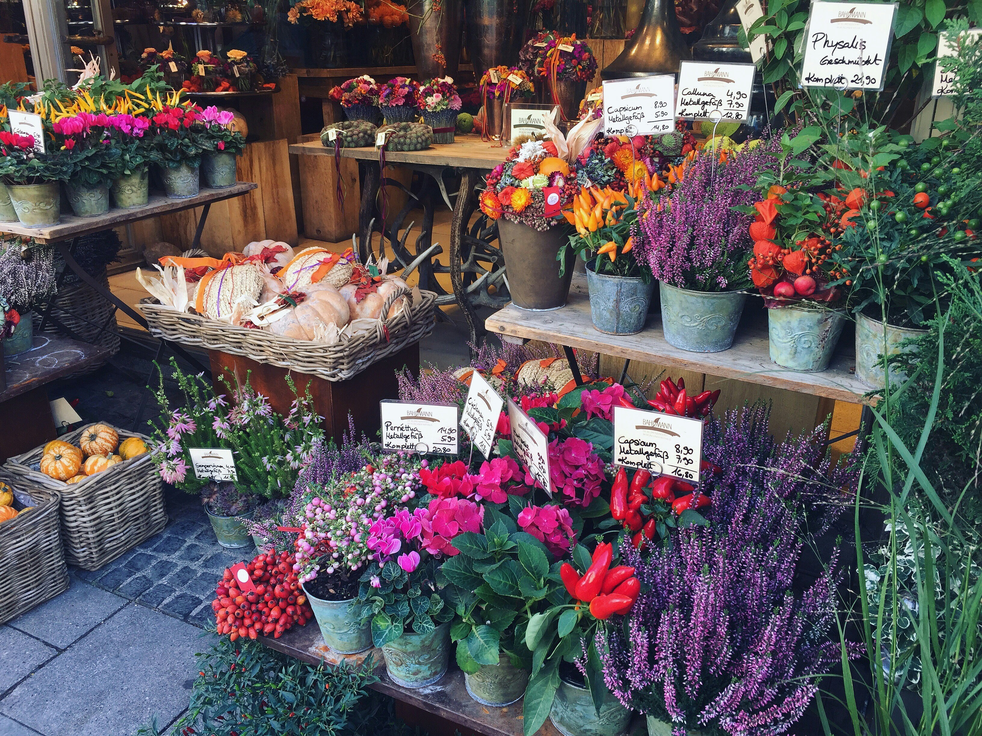 Columbia Road Flower Market a Londra: Guida Completa