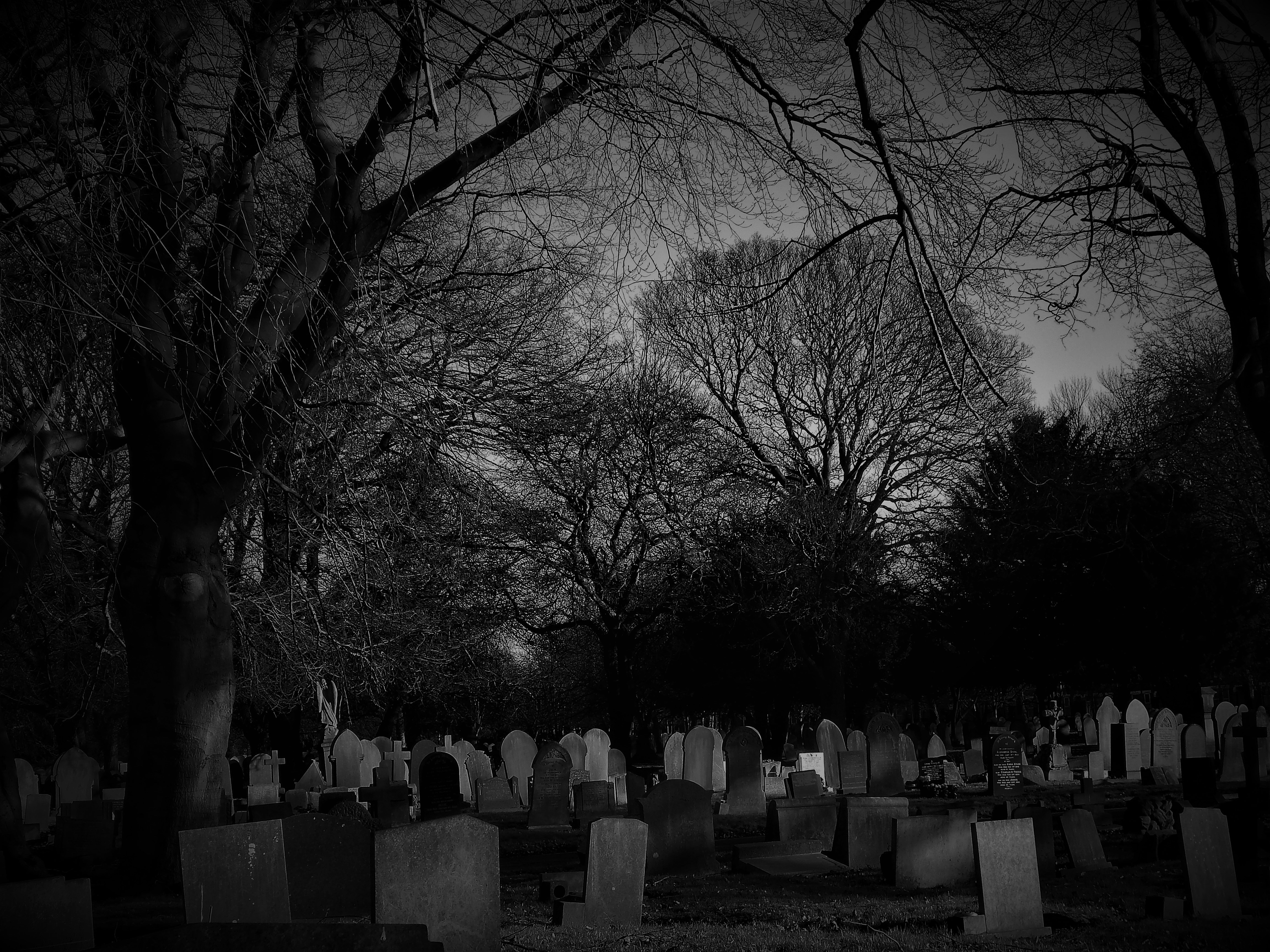 Cimiteri a Londra: i Più Belli e Misteriosi da Visitare