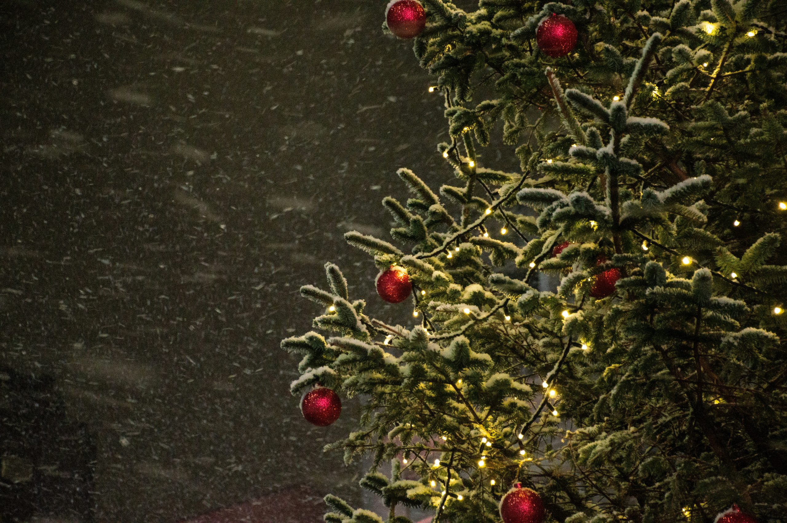 Alberi di Natale a Londra