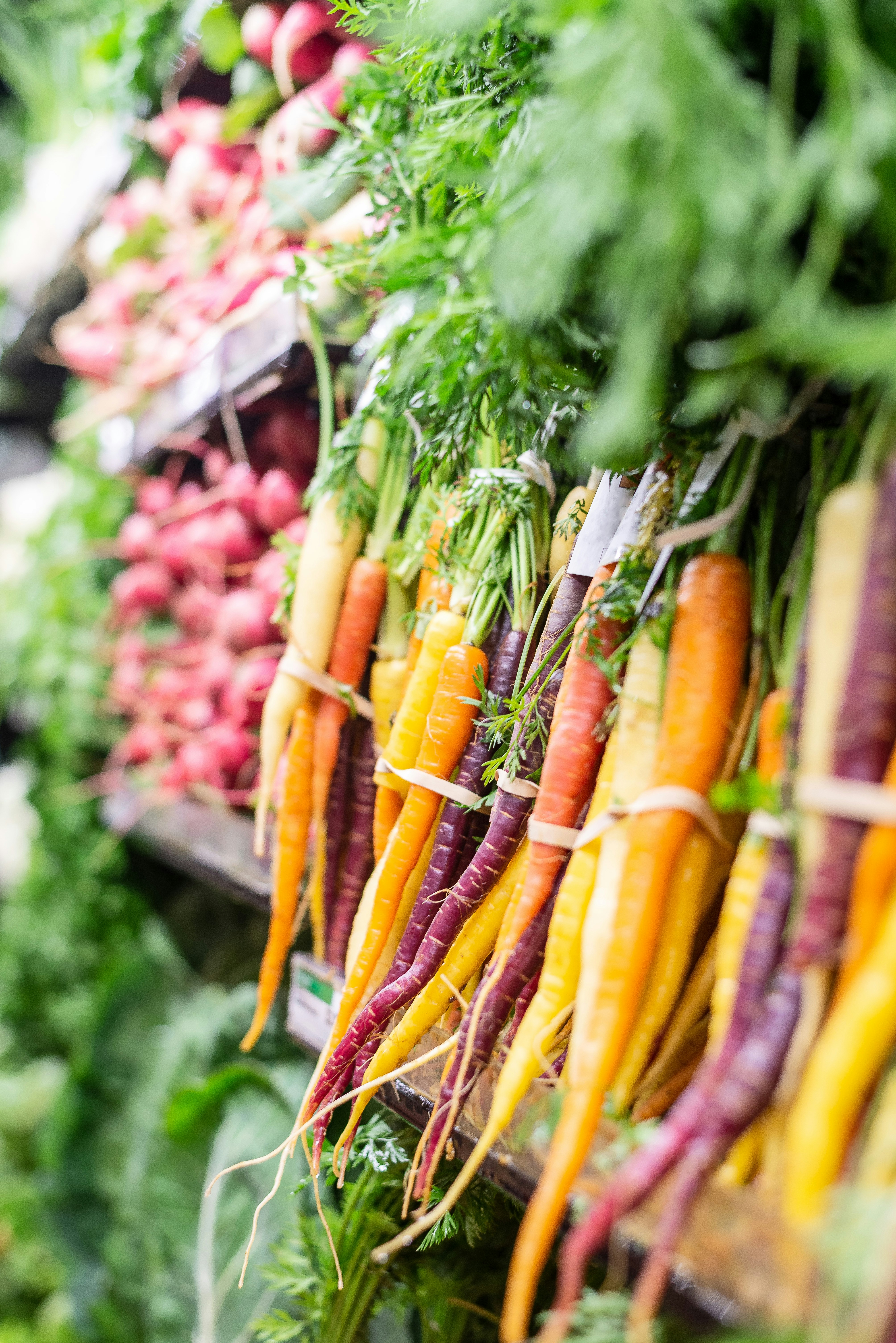 Negozi zero waste a Londra: shopping sostenibile