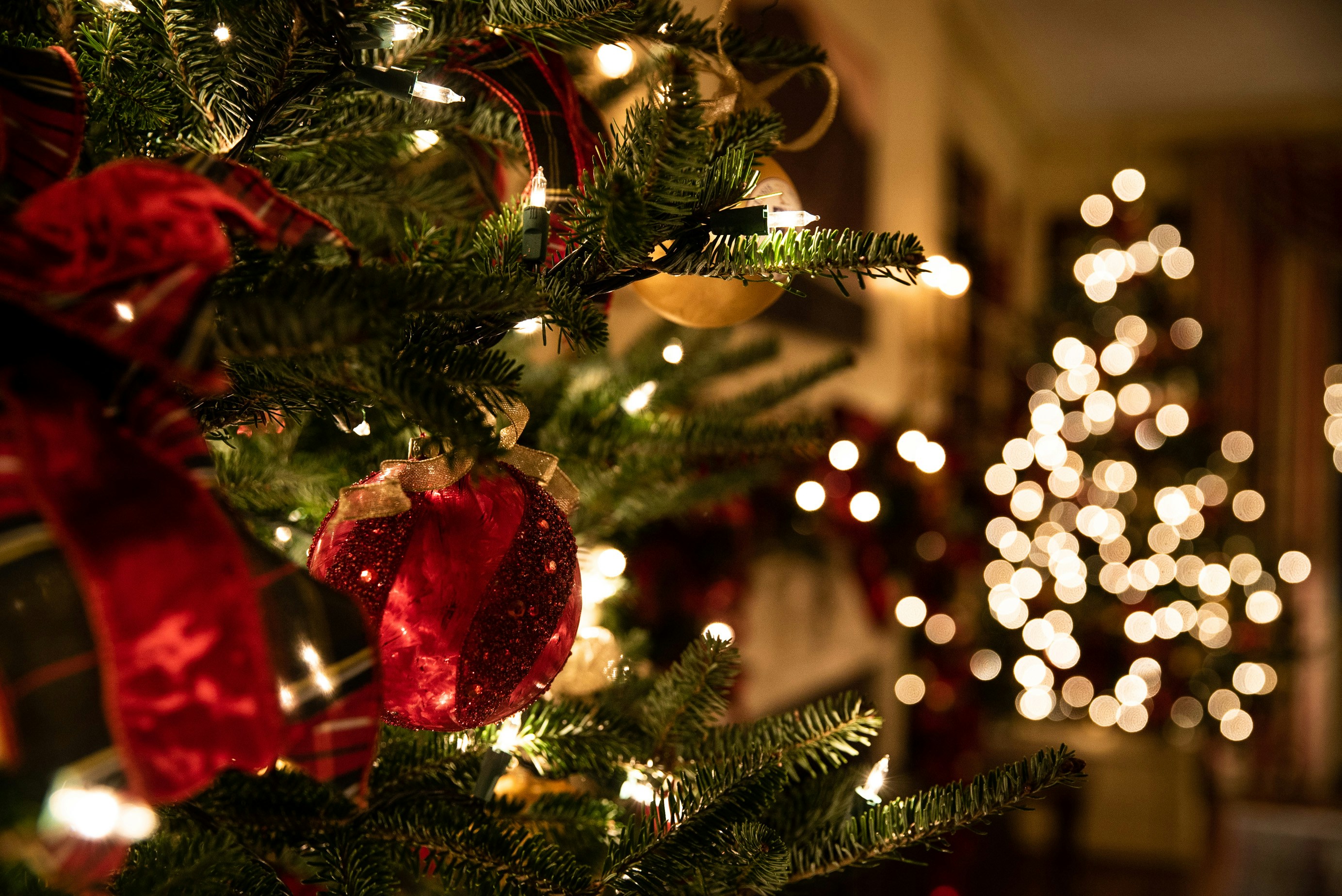 Natale a Londra 2026: cosa fare il 24, 25 e 26 dicembre